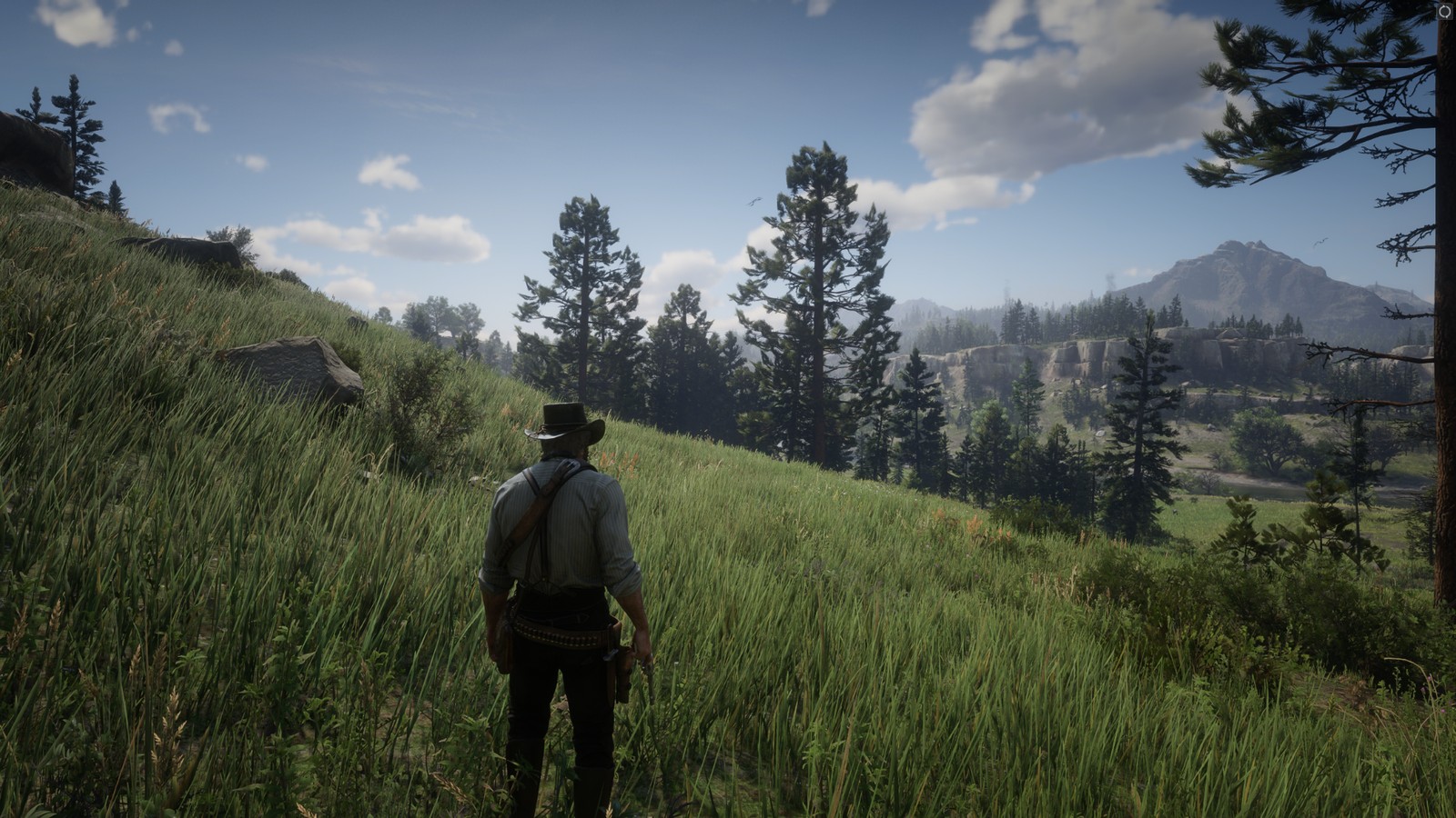 Arthur Morgan de espaldas en una pradera cubierta de hierba, flores, árboles y montañas en Red Dead Redemption 2