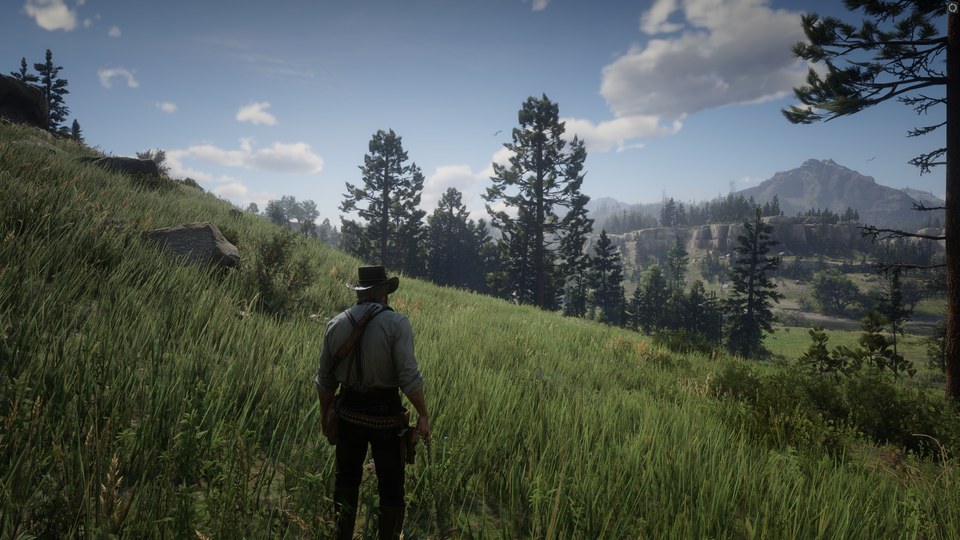 Arthur Morgan de espaldas en una pradera cubierta de hierba, flores, árboles y montañas en Red Dead Redemption 2