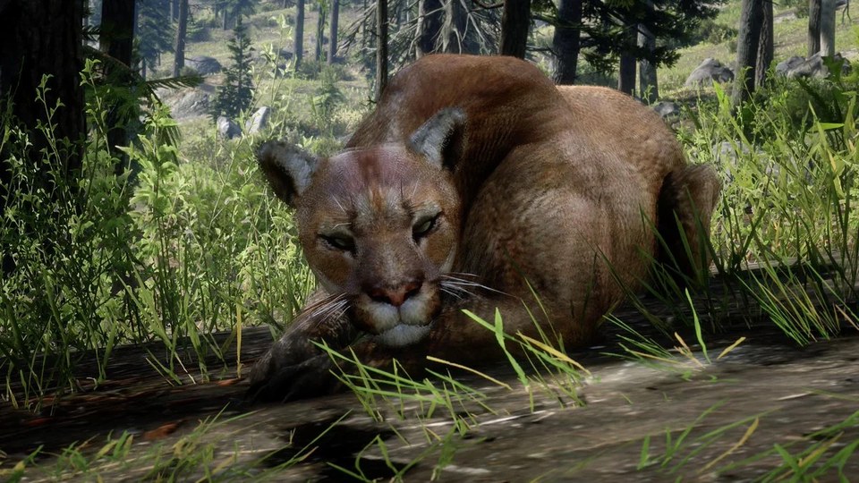 Un puma entre la vegetación en Red Dead Redemption 2