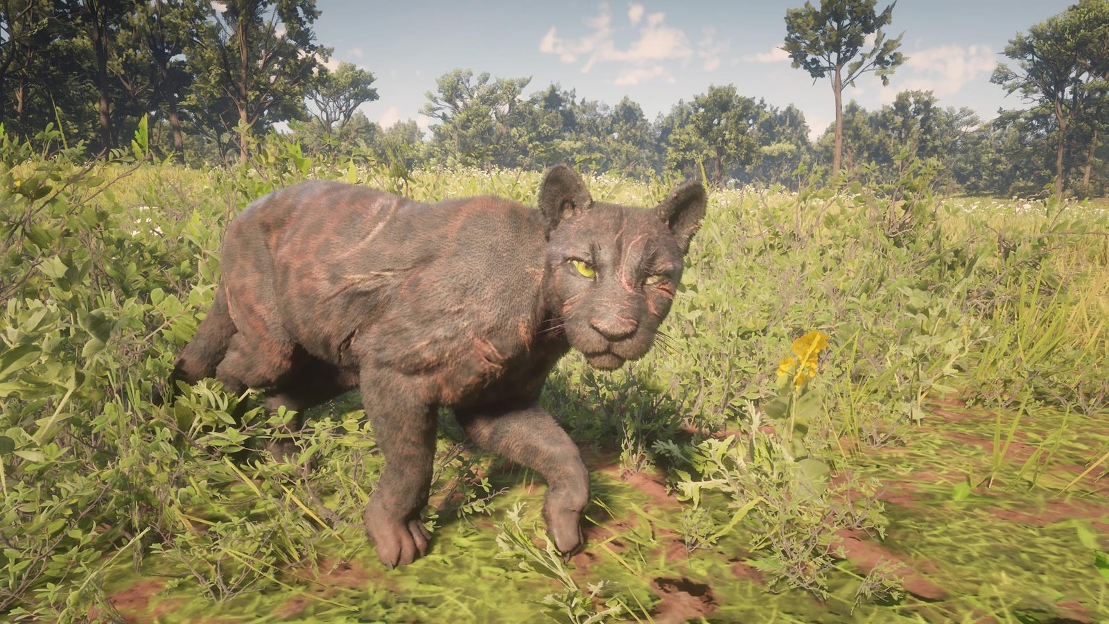 Un gran felino en campo abierto en Red Dead Redemption 2