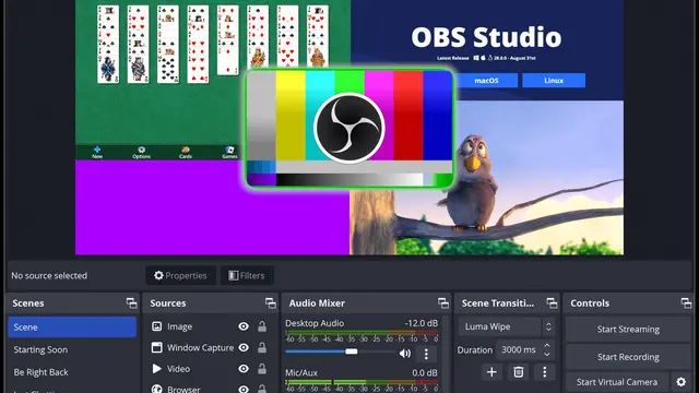 OBS Studio interface with a scene preview and, below it, the scenes, sources, audio mixer, transitions and controls panels for streaming and recording